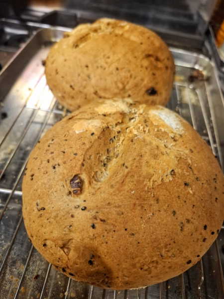 自家製くるみと黒ごまパン